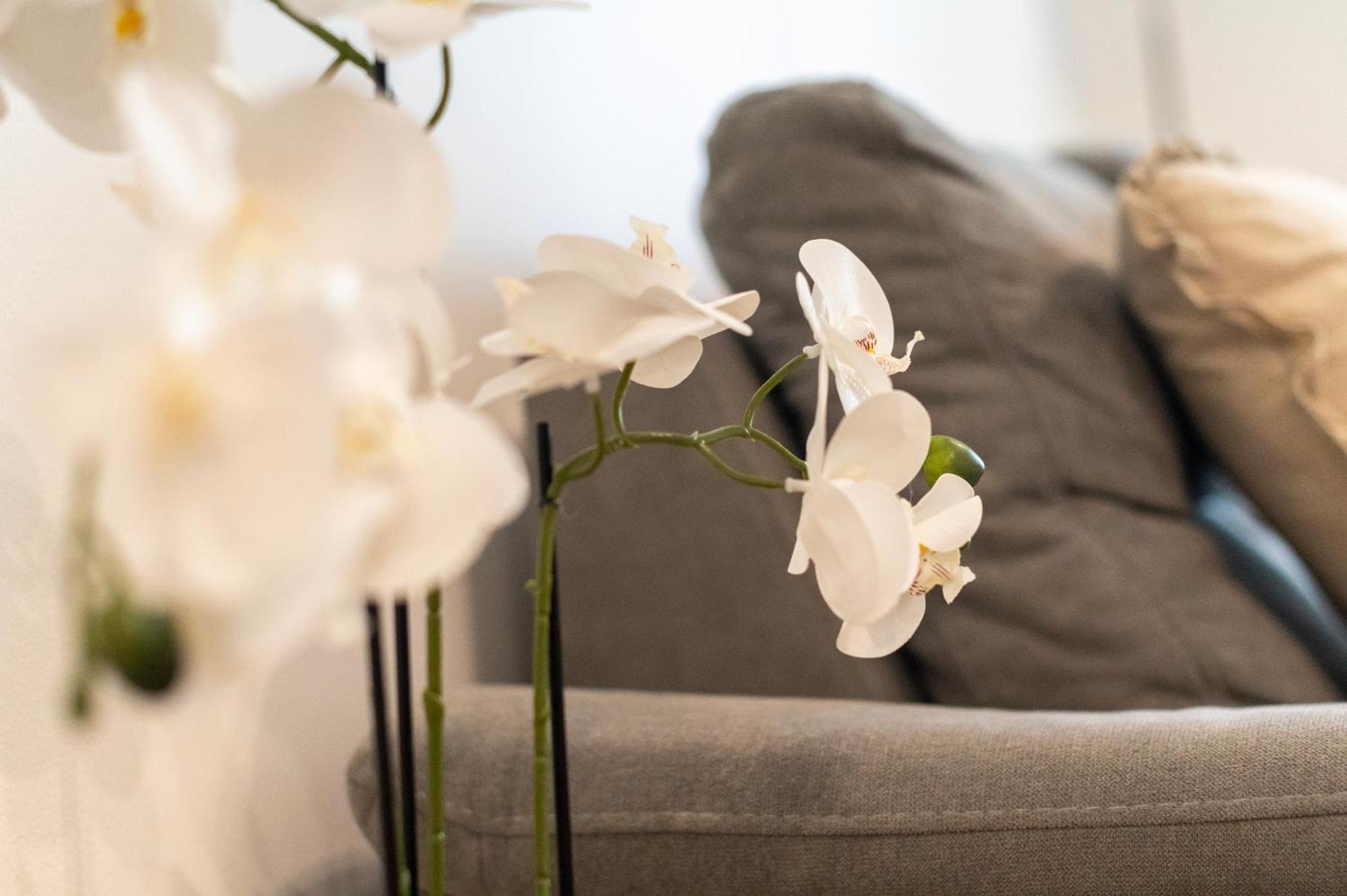Apartment K&L,Zadar Ngoại thất bức ảnh